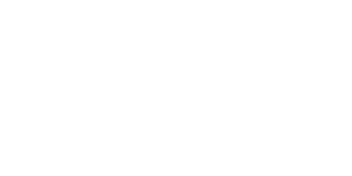 logo_velux_blanc