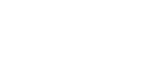 logo_wienerberger_blanc